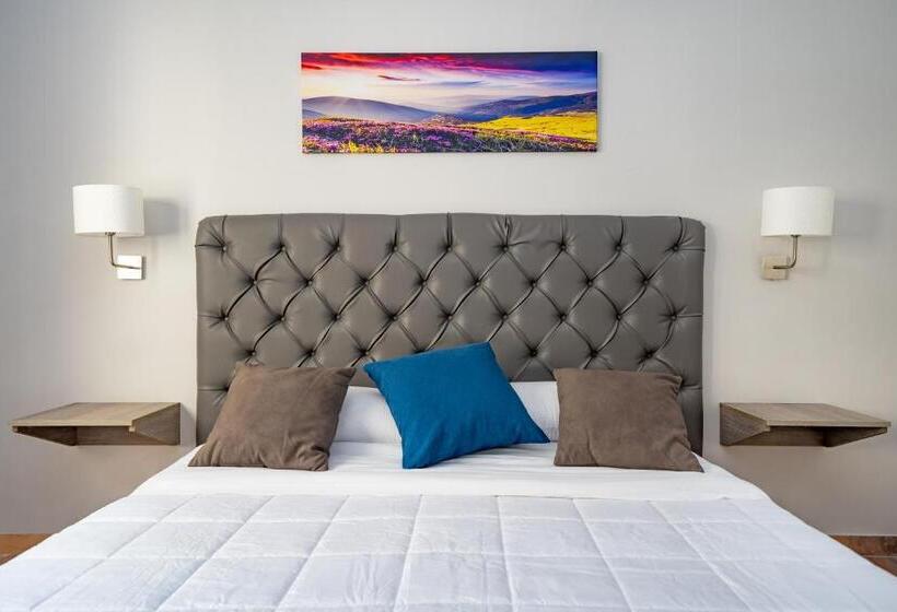 اتاق اکونومی, Il Falco