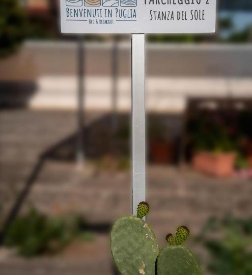 Номер Deluxe с Балконом, Benvenuti In Puglia B&b