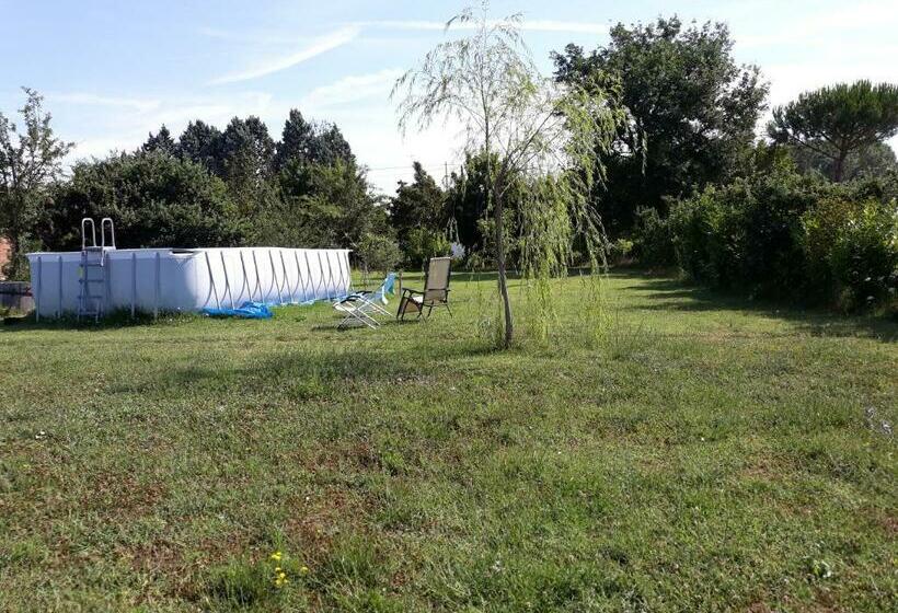 غرفة قياسية ثلاثية, Podere Alberello