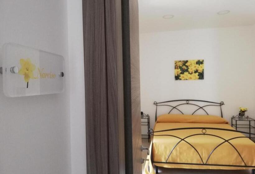 חדר סטנדרט, Il Giardino