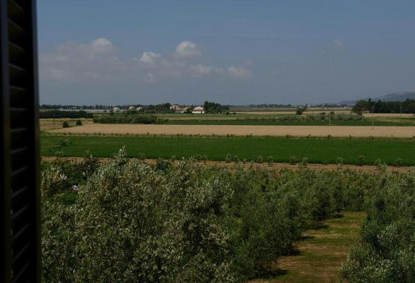 آپارتمان 1 خوابه با چشم‌انداز باغ, Agriturismo Brancatelli