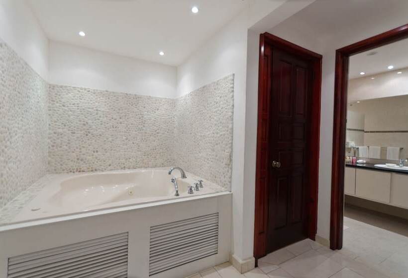 سوییت اجرایی, Boutique Hotel Palacio