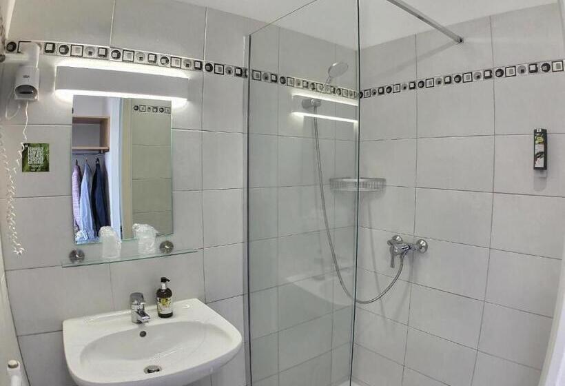 غرفة قياسية مزوَّدة بتراس, Logis Hôtel Du Château