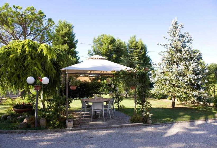 标准间, Abbadia 14