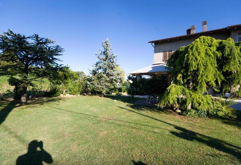 标准间, Abbadia 14