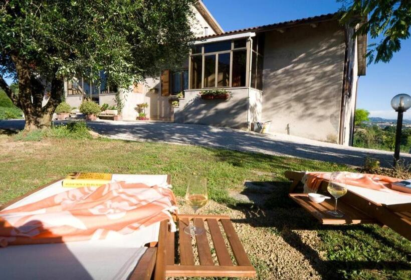 标准间, Abbadia 14