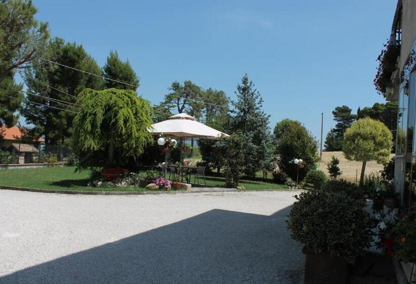 标准间, Abbadia 14