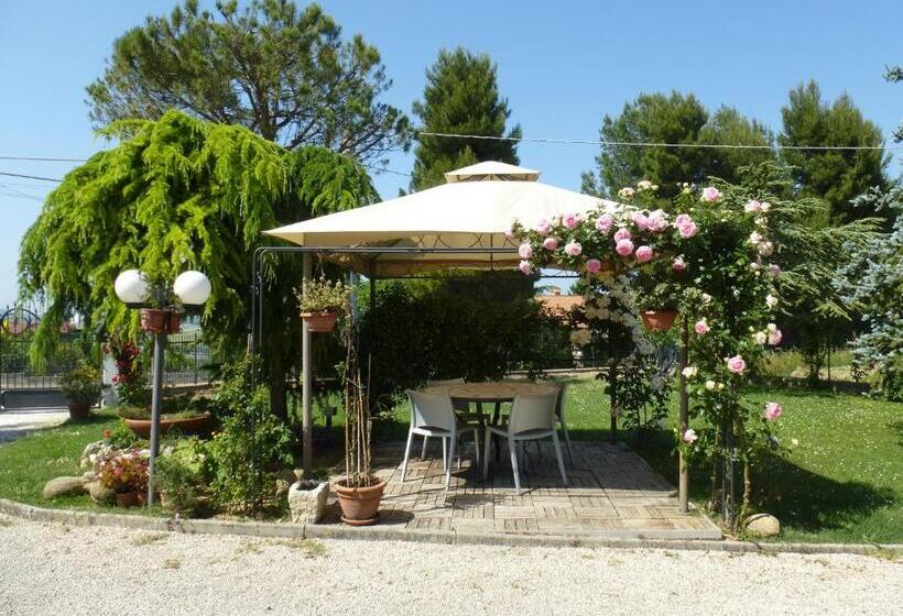 标准间, Abbadia 14