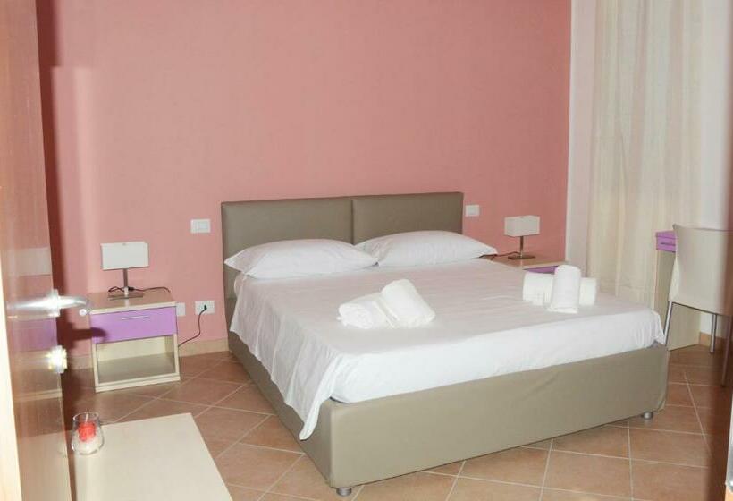 Номер Стандарт, 904