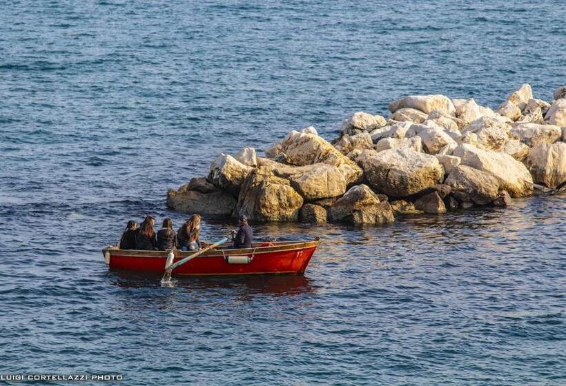 اتاق استاندارد سه نفره, Spira Mirabilis Napoli