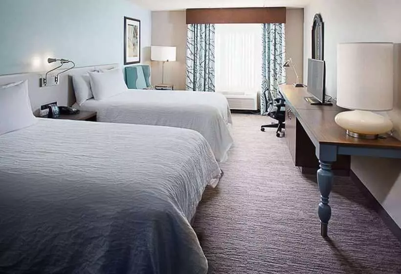 اتاق استاندارد با 2 تخت دوبل, Hilton Garden Inn Albany Airport