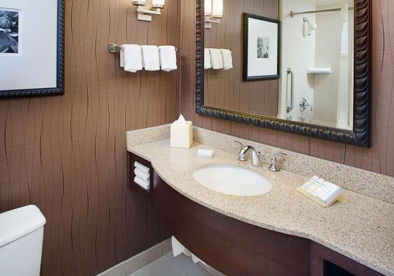 스탠다드 룸 킹사이즈 침대, Hilton Garden Inn Albany Airport