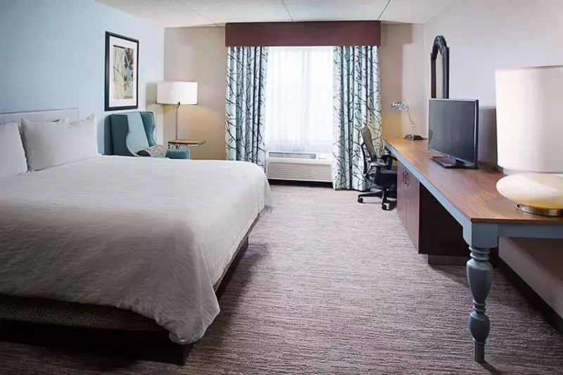اتاق استاندارد با تخت بزرگ, Hilton Garden Inn Albany Airport