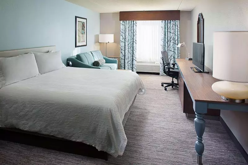 اتاق استاندارد با تخت بزرگ, Hilton Garden Inn Albany Airport