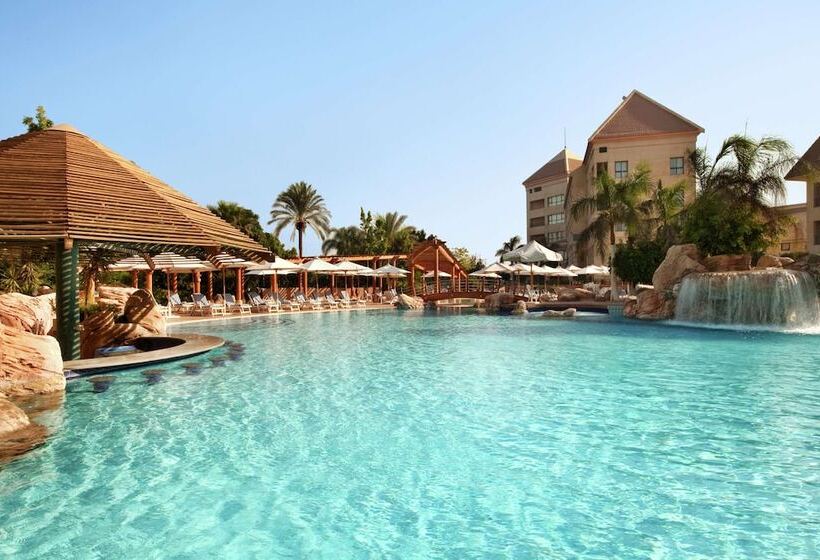 اتاق استاندارد, Hilton Pyramids Golf