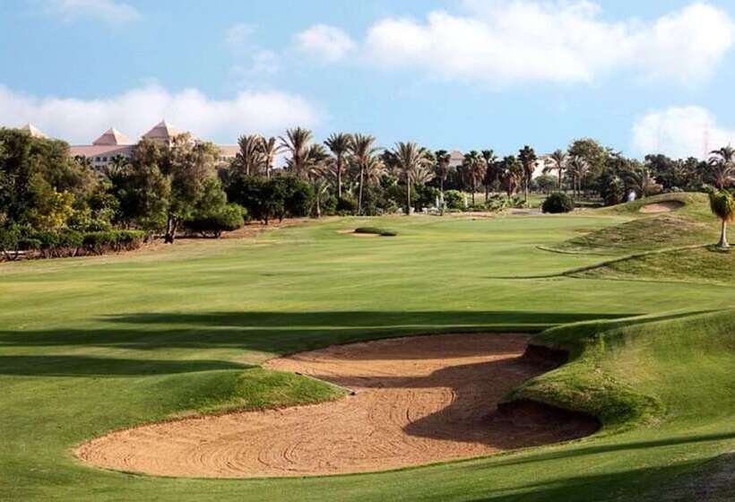 اتاق اجرایی, Hilton Pyramids Golf