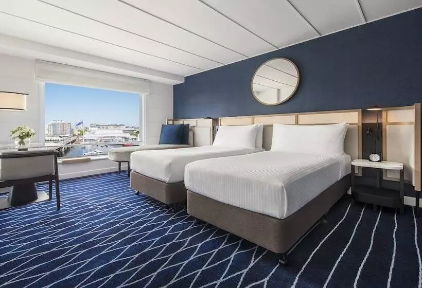 シングルデラックスルーム, Hyatt Regency Sydney
