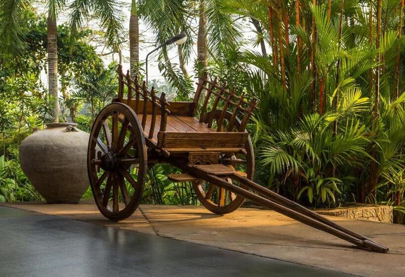 غرفة ديلوكس ثلاثية مطلة على البحر, Royal Palms Beach