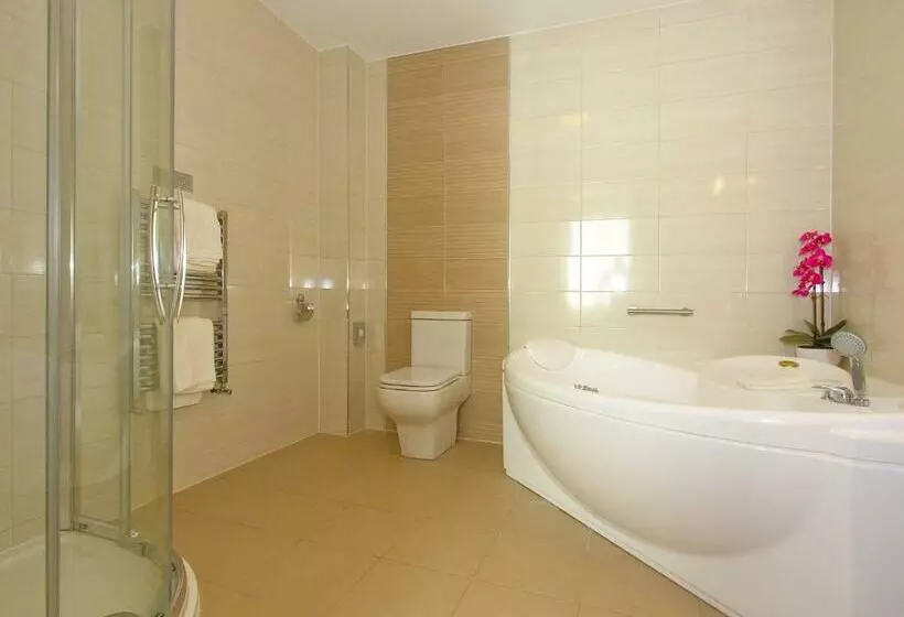 اتاق سوپریور با تخت بزرگ, Menlo Park Hotel