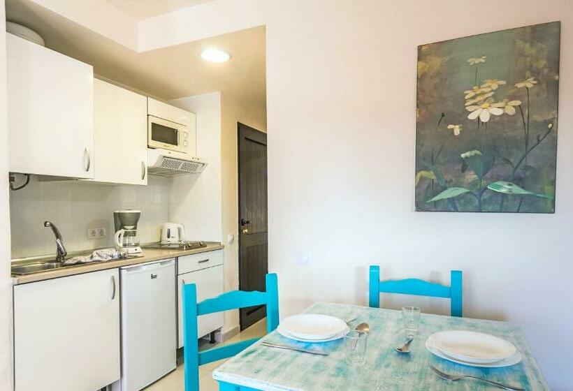 דירת שני חדרים, Oasis Duna