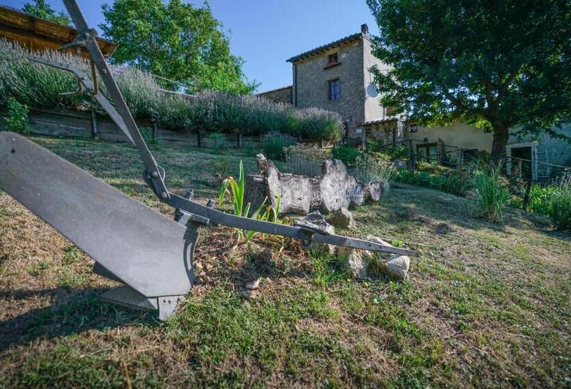 デラックスルーム, Agriturismo La Colombella