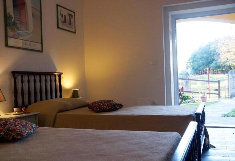 اتاق استاندارد, Molino Della Volta