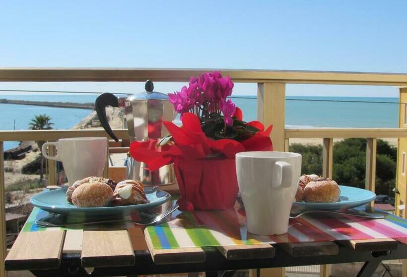 スタンダードルーム, B&b Ohana