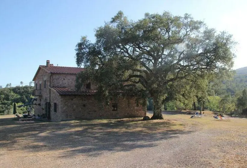 景色の見える一ベッドルームアパートメント, Agriturismo Poggio Macinaio