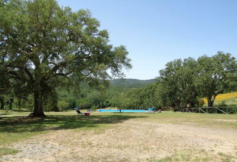 דירה בת חדר שינה 1 עם נוף, Agriturismo Poggio Macinaio