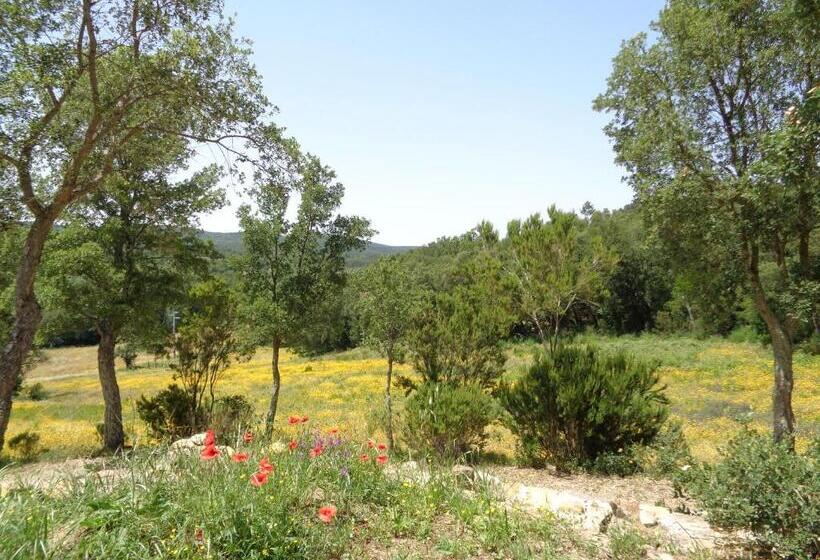 شقة غرفة واحدة ذات إطلالة, Agriturismo Poggio Macinaio