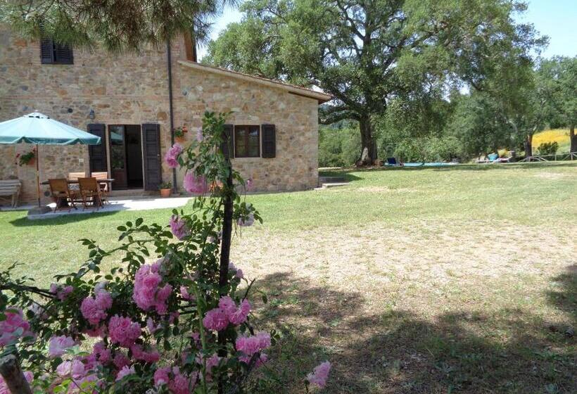 Апартаменты 1 Спальня с Видом, Agriturismo Poggio Macinaio