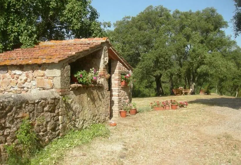 景色の見える一ベッドルームアパートメント, Agriturismo Poggio Macinaio
