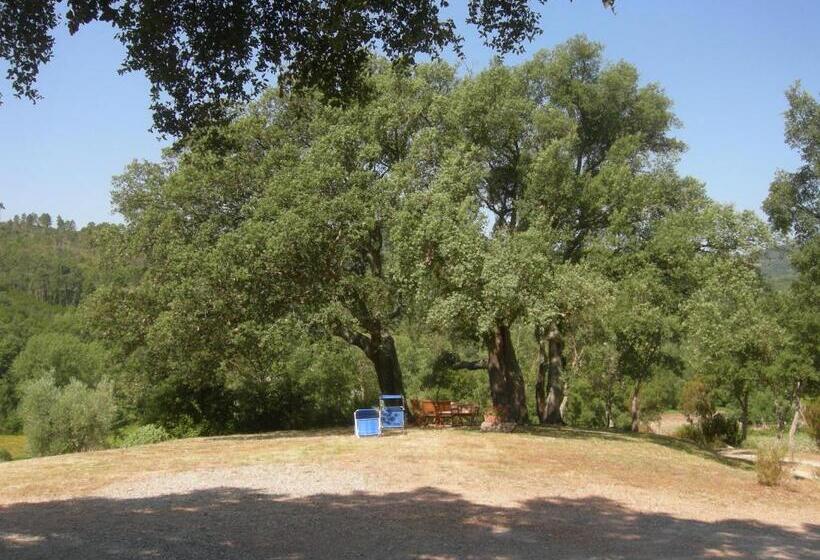 شقة غرفة واحدة مطلة على حمام السباحة, Agriturismo Poggio Macinaio