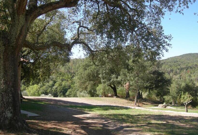 דירת חדר נוף לבריכה, Agriturismo Poggio Macinaio