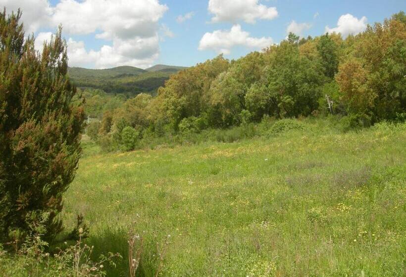 דירת חדר נוף לבריכה, Agriturismo Poggio Macinaio
