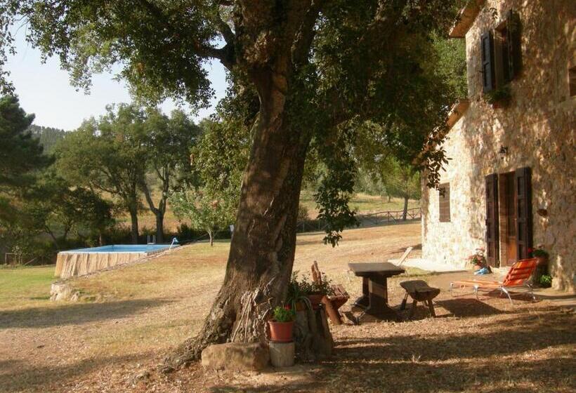 דירת שני חדרים, Agriturismo Poggio Macinaio