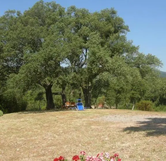 プールの見える１ベッドルームアパートメント, Agriturismo Poggio Macinaio