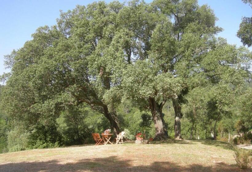 Апартаменты 1 Спальня Вид на Бассейн, Agriturismo Poggio Macinaio