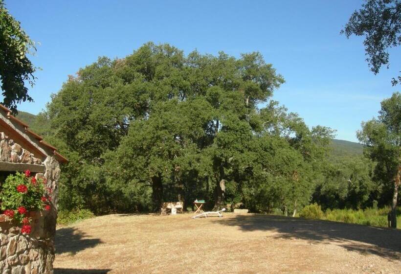 شقة غرفتين, Agriturismo Poggio Macinaio