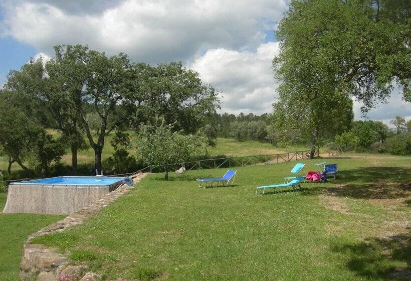 דירת חדר נוף לבריכה, Agriturismo Poggio Macinaio