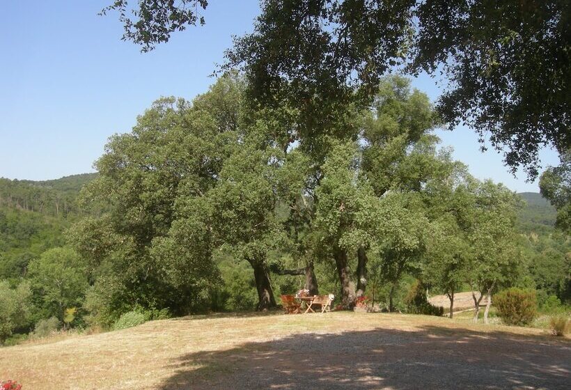 Апартаменты 1 Спальня Вид на Бассейн, Agriturismo Poggio Macinaio