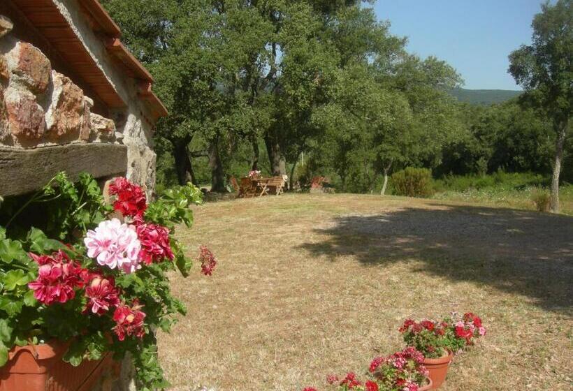 דירת חדר נוף לבריכה, Agriturismo Poggio Macinaio