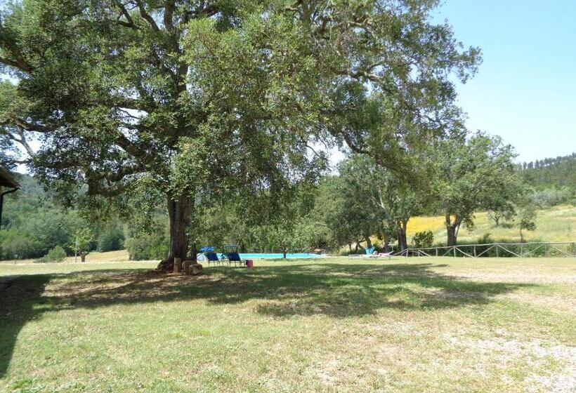 דירת חדר נוף לבריכה, Agriturismo Poggio Macinaio