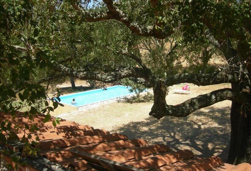 דירת חדר נוף לבריכה, Agriturismo Poggio Macinaio