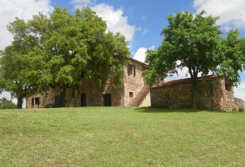 Апартаменты 2 Спальни, Agriturismo Poggio Macinaio