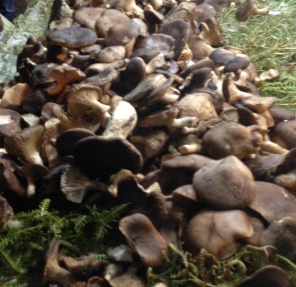 Номер Стандарт, B&b Vicolo Del Chiostro