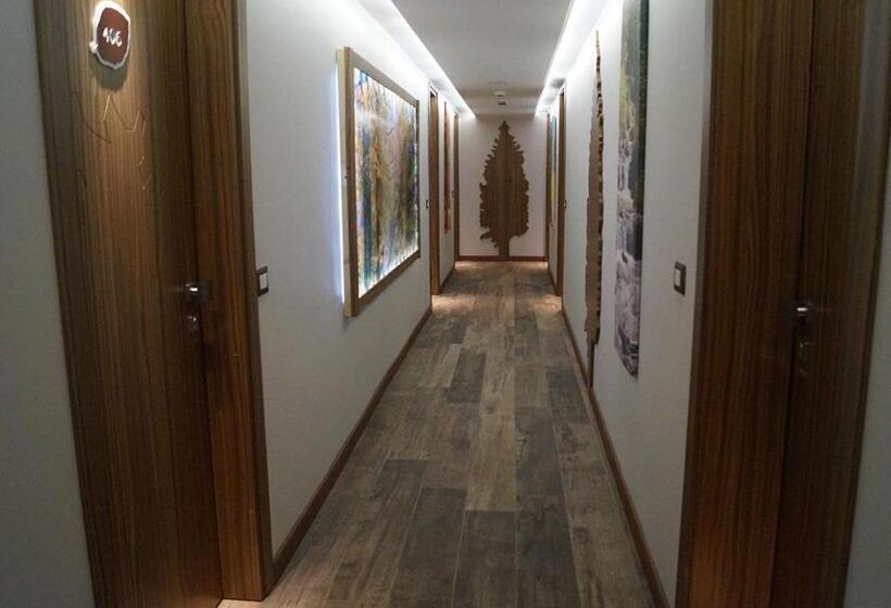 带1个卧室的公寓, National Park Hotel & Spa