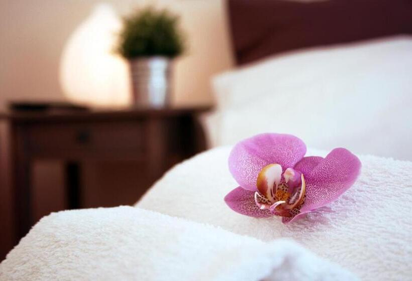 חדר סטנדרט, Bye Bye Roma Pantheon Suite