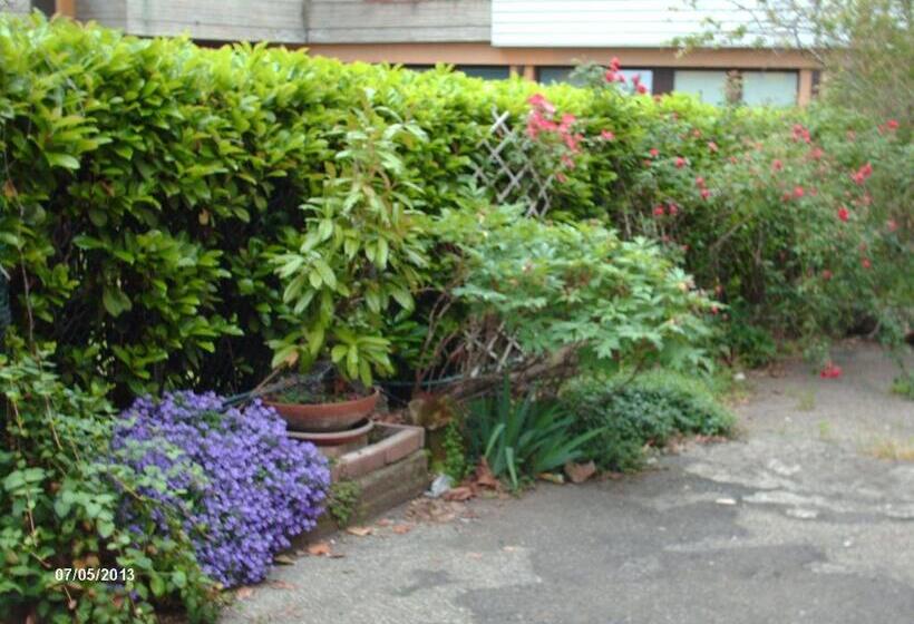 스탠다드 룸, Triana E Tyche