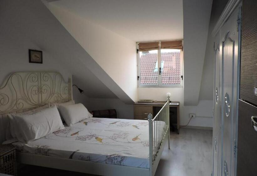 إستديو قياسى مزود بشرفة, Residenze Torinesi